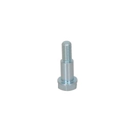 Parafuso M6-D8 L.12.2mm para o disco de freio flutuante traseiro-magiceart