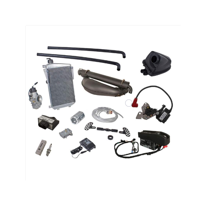 ROTAX FR 125 MAX-DD2 -Magickart