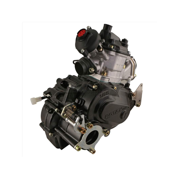 ROTAX FR 125 MAX-DD2 -Magickart
