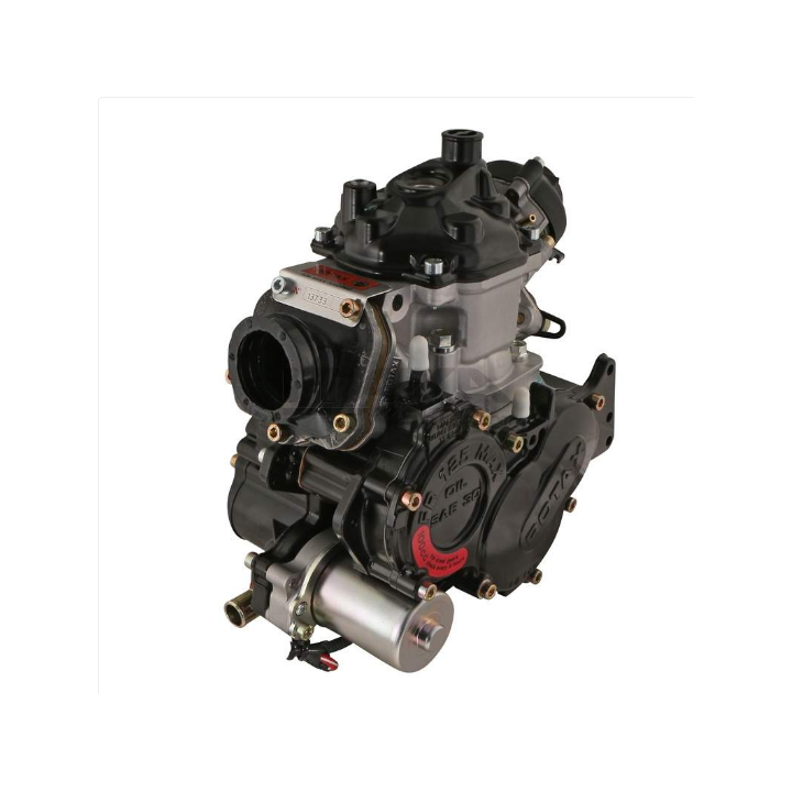 Rotax 125 max evo -magickart