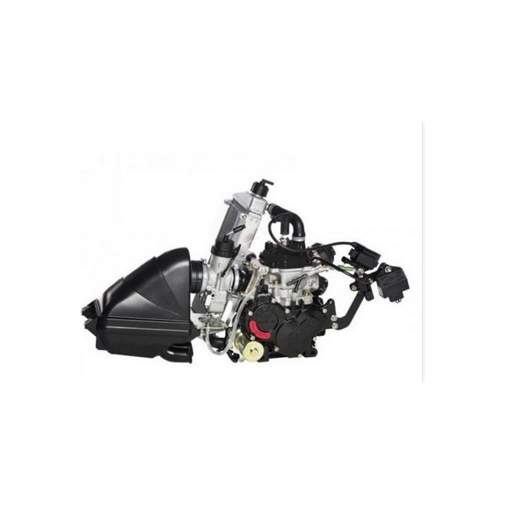 Rotax 125 max evo -magickart
