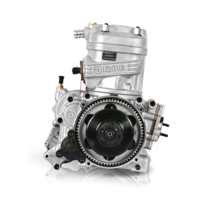 Engine Iame X30 SENIOR - 125 -Magickart