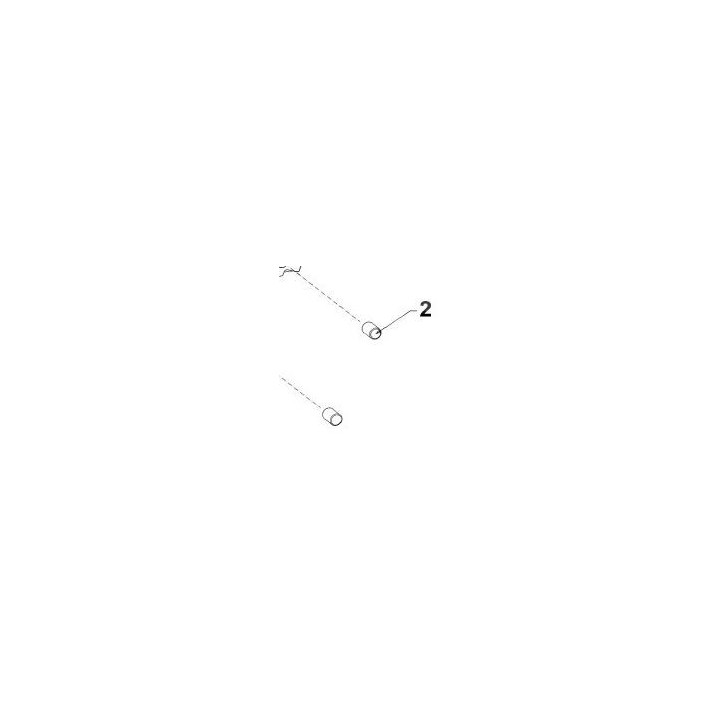 PION 8x12  TM