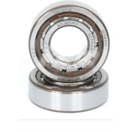 RODAMIENTO DE RODILLOS SKF BC1 3022 (ø21 mm interno)