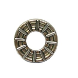 CAGE RADIAL  TM (6)