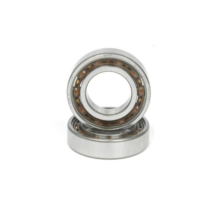 131 6005 TN1 C3 X30 Balancing Shaft Bearing -Magickart