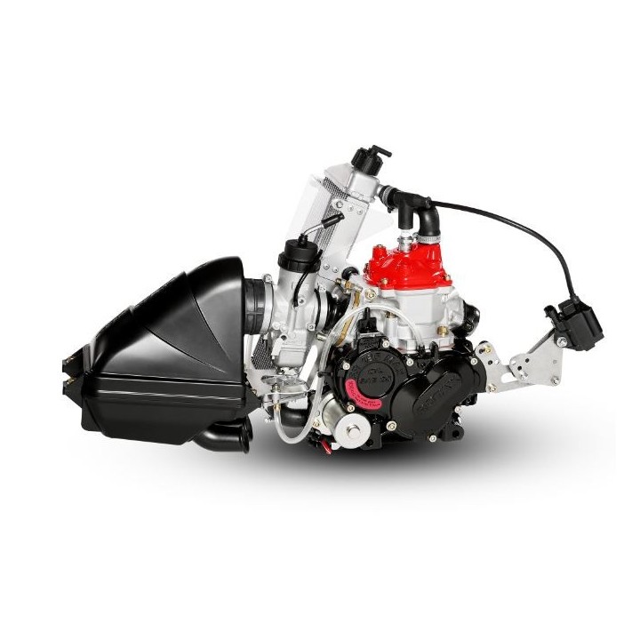 Μηχανή Rotax 125 Junior Max Evo -MagickART