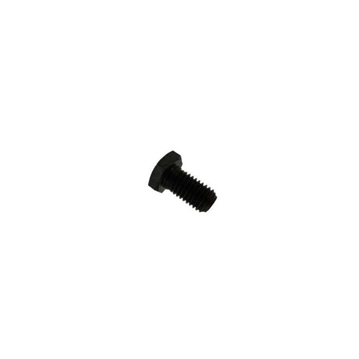 (12) VITI 7mm SP TM RINFORZO FRIZIONE