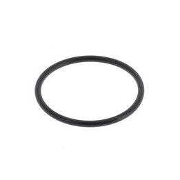 (18) TM clutch support ring O'ring