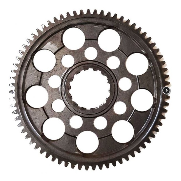 (29) Pignone secondario da 75 denti TM