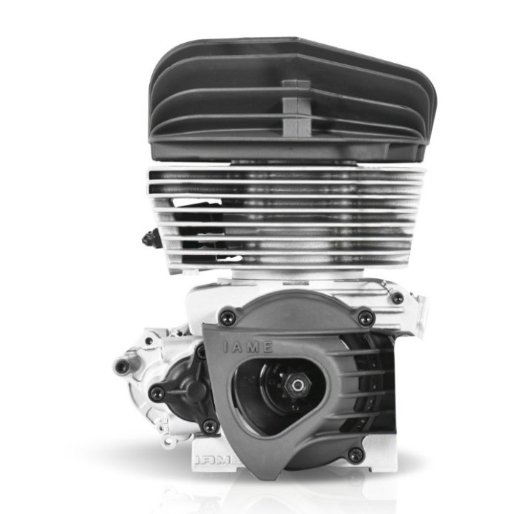 IAME KA100 TAG Motor Kit IAME Reed Jet sparsamste Kategorie im Kartsport