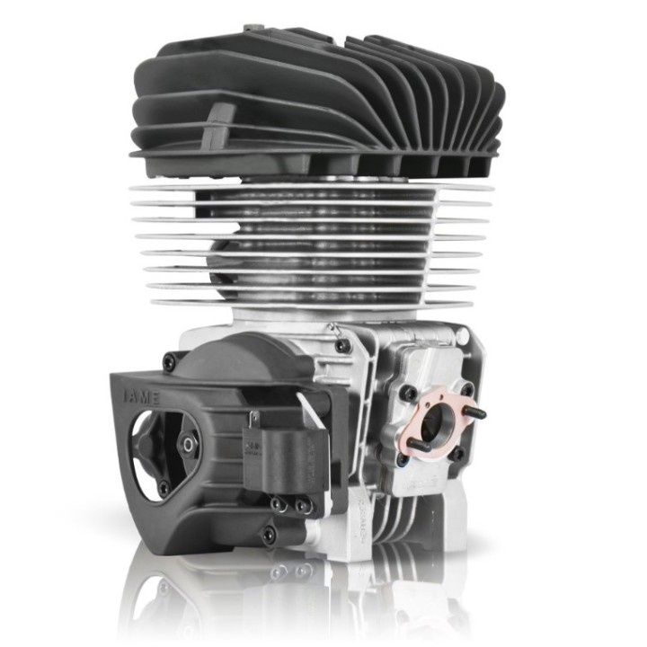 IAME KA100 TAG motor Kit IAME Reed Jet el más barato para su karting -Magickart