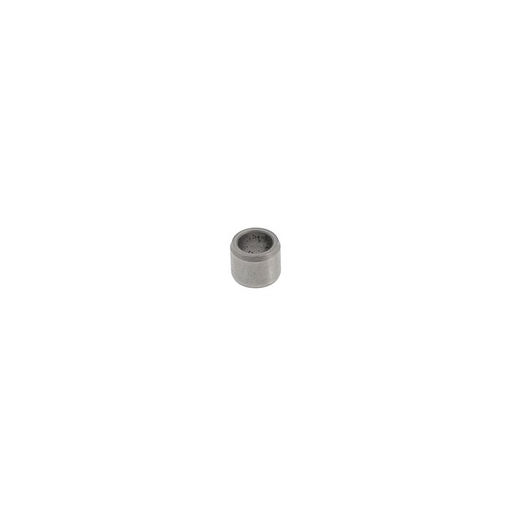 (24) PION TM