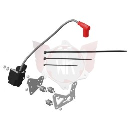 UPGRADE KIT ALLUMAGE MAX 2019 evo