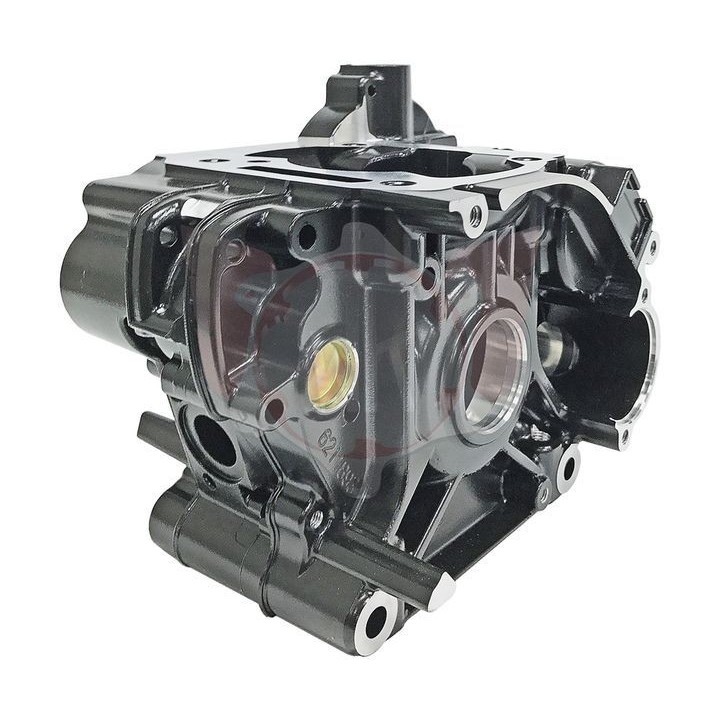 carter Engine-Full-Black-Rotax-Max-Evo-after-2014-Magickart