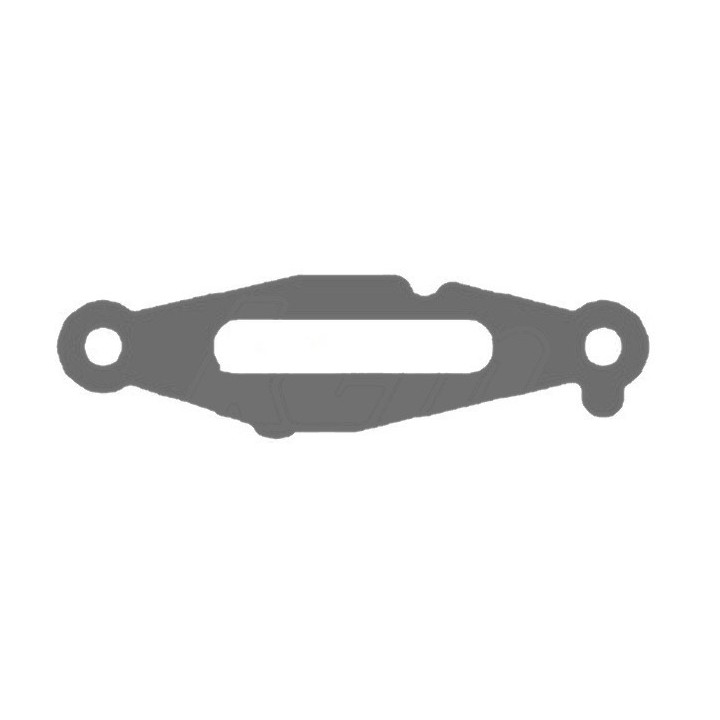 PLAQUE PROTECTION CYLINDRE/VALVE ROTAX