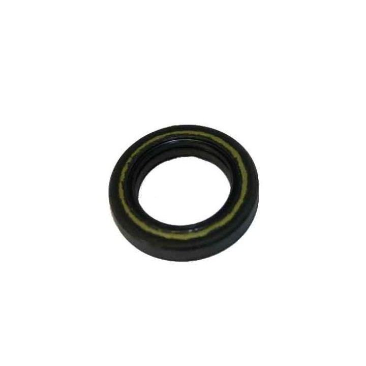 SPI ARS SEAL Ø25 / 40 / 7mm FPJ Teflon