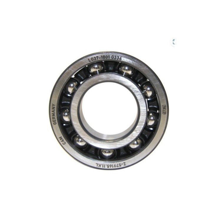 rolling-albero motore-Fag-6206-c3-Rotax-Max-Evo-magickart