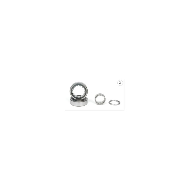 Promozione SKF 6205 BC1 1442B Roller-MagickArt