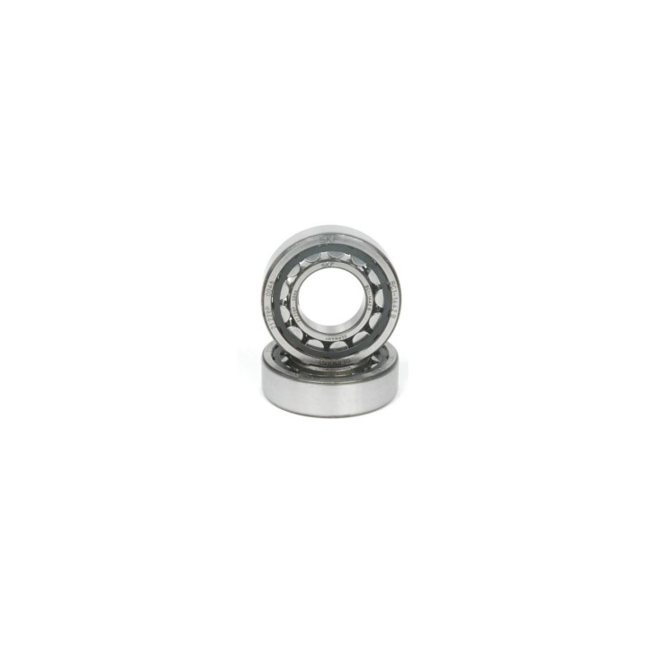 Promozione SKF 6205 BC1 1442B Roller-MagickArt