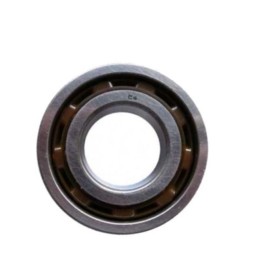 ROULEMENT SKF 6202 C4 K9