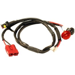 Cablaggio del fascio elettronico di promozione Iame X30 - S125 - Magickart