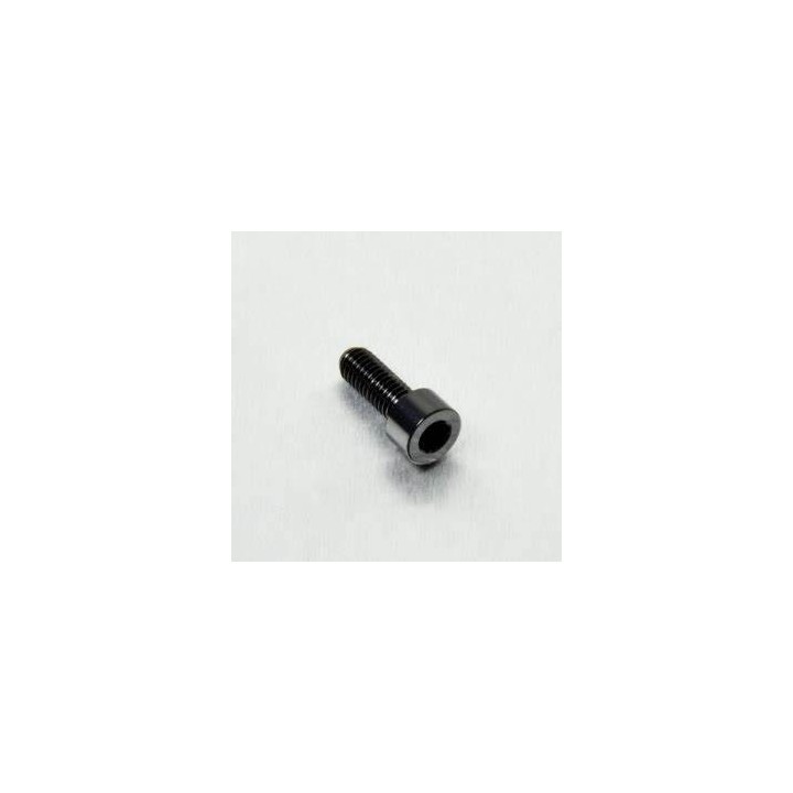 Rotax Vite BTR M6x16mm-MagickArt