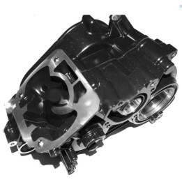 carter ROTAX complet DD2-Magickart