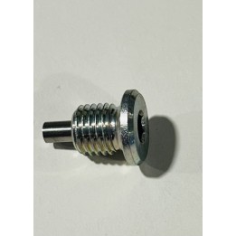 (28) Rotax ROTAX 125 DD2 EVO Vite magnetica M12x1.6 -magickart