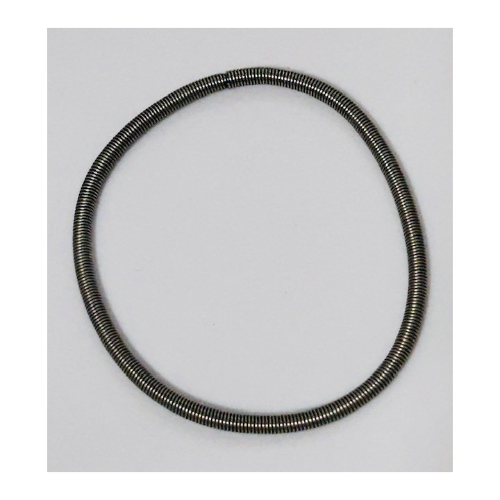 Rotax Circular spring of membrane 134x3,0x0.65mm