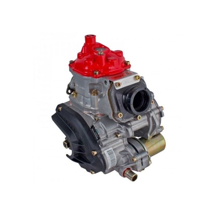 Moteur nu 125 MAX EVO -magickart