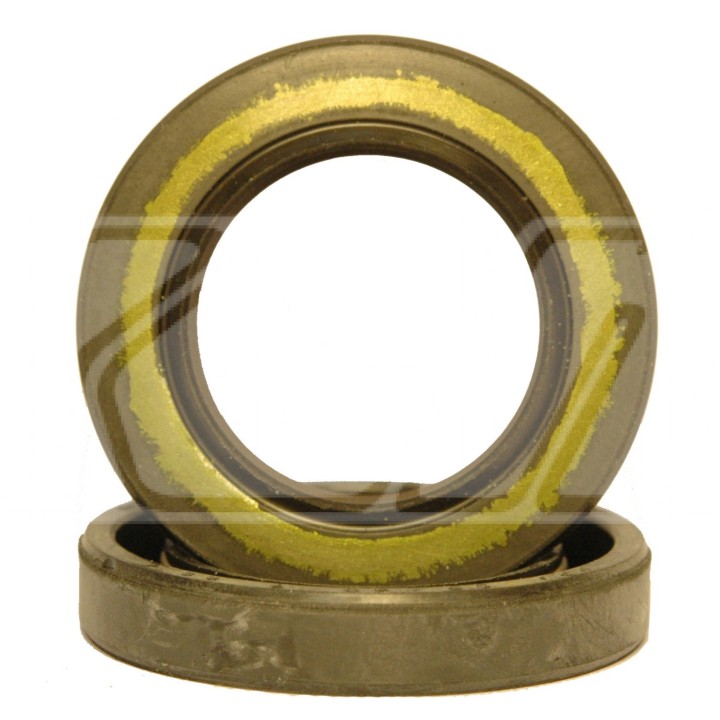 SEAL SEAL SIP Ø25 / 40 / 7mm FPJ Teflon -MagickArt