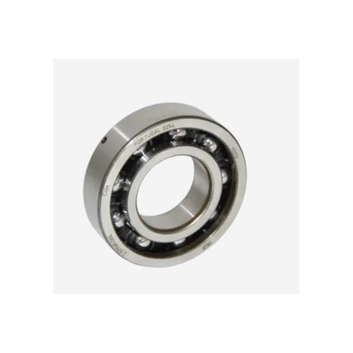 rolling-albero motore-Fag-6206-c3-Rotax-Max-Evo-magickart