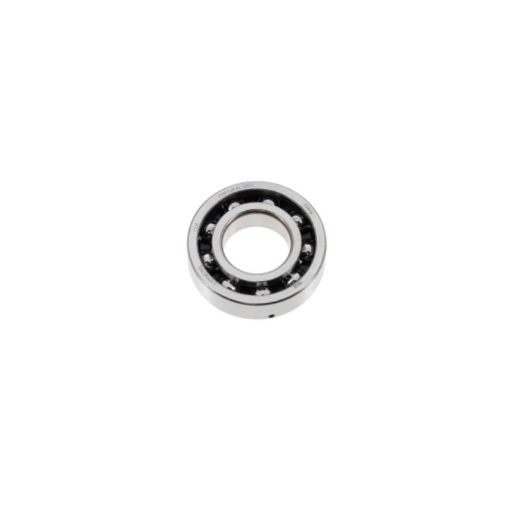 rolling-crankshaft-fag-6206-c3-Rotax-Max-Evo-magickart