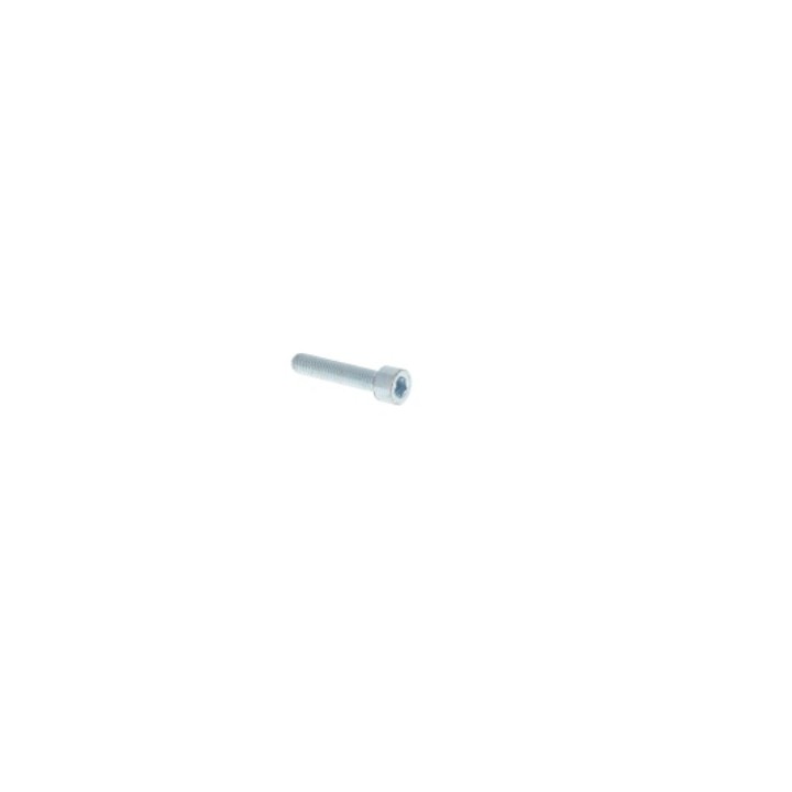 vis-chc-m6x45-fp-8.8-elzn-carter-rotax-max-magickart