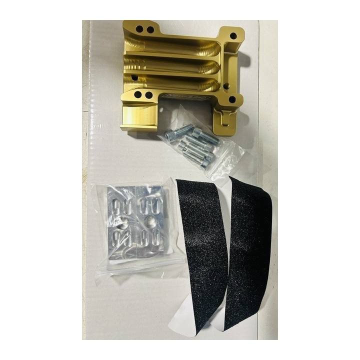 Vollständige neue Linie Goldmotor Platin | IAME X30 KA100 Rotax OTK -Magickart