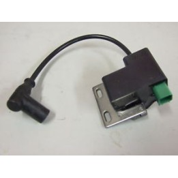 Bobine  Rotax MAX