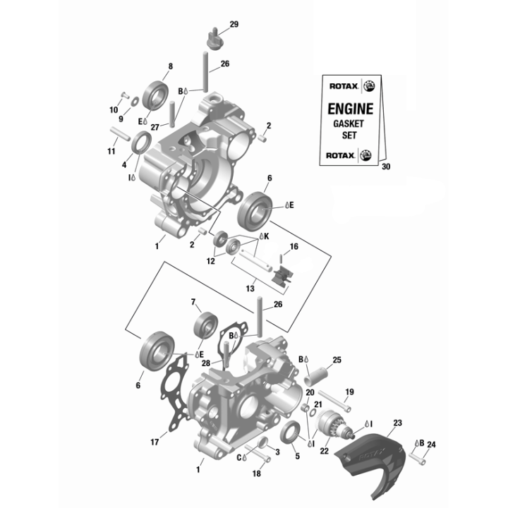 rolling-tree-SKF-6005-tnh-c3-Rotax-Max-magickart