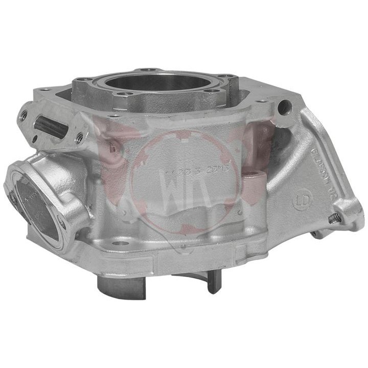 cylindre-rotax-125-dd2-2018-cote-54-000-54-010-homologue-magickart
