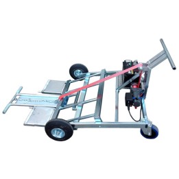 Carrello Dalmi noleggio kart