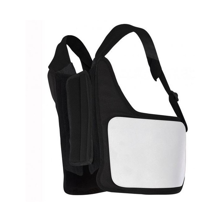 WESTE PROTEGE-COTES ALPINESTARS BIONIC