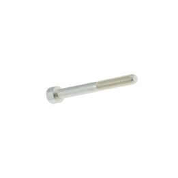 Vis Tête Cylindrique Six Pans Creux 6 x 55