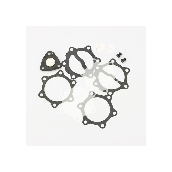 kit de revision pour pompe a essence 35 L (DF52-82) -Magickart