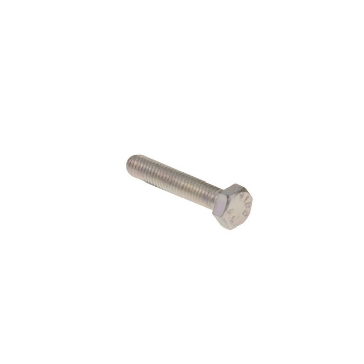 Vis Tête Hexagonale 8 x 55