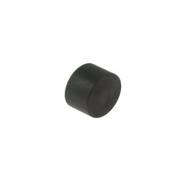 Piston d'étrier de frein AR BSM