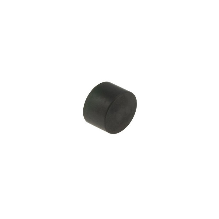 Piston d'étrier de frein AR BSM