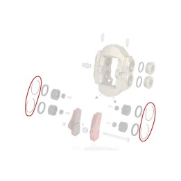 Clips Etrier AV BSS
