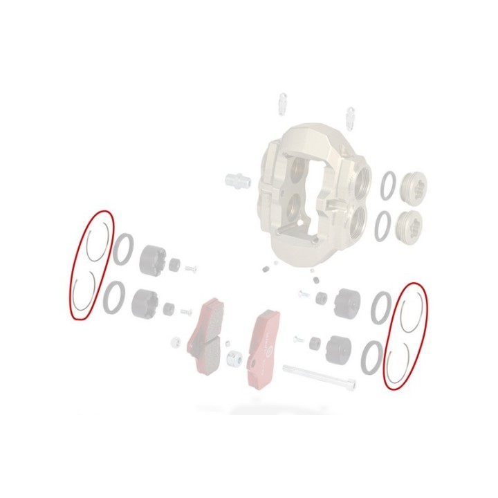 Clips Etrier AV BSS