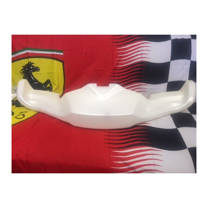 parechoc KG  FL-F1 ricciardo birel