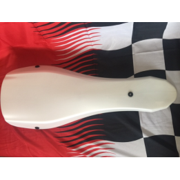 FRONT PANEL F1 2018 RICCIARDO BIREL